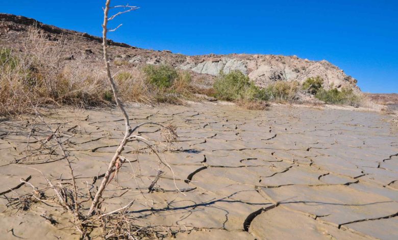Utah enfrenta su sexto verano más caluroso y uno de los más secos en más de un siglo