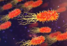 Las infecciones de bacteria ‘come carne’ en Luisiana (EEUU) se disparan y dejan 6 muertos