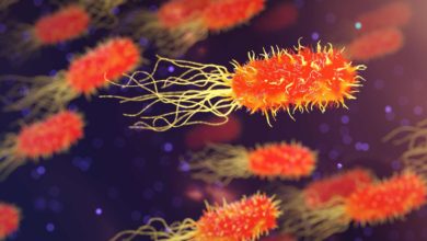 Las infecciones de bacteria ‘come carne’ en Luisiana (EEUU) se disparan y dejan 6 muertos