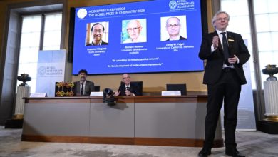 El Nobel de Química es para tres científicos por el desarrollo de estructuras metal-orgánicas