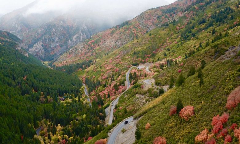 Impactante rescate en American Fork Canyon: Un escalador sobrevive a una caída de más de 12 metros