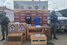 Detienen a dos hombres por tráfico de monos viudita en el estado Bolívar