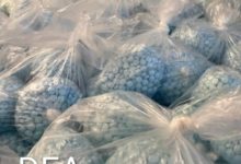 Utah figura entre los estados con mayores incautaciones durante la Operación América Libre de Fentanilo