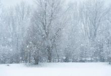 Primera nevada de la temporada sorprende a los valles de Utah durante el fin de semana festivo