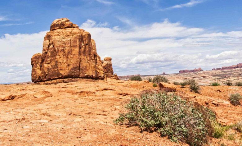 Noviembre 2025 en Salt Lake City rompe récords: Mes más cálido y entre los más secos en décadas