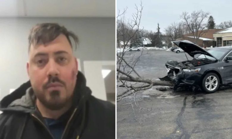 Presunto miembro del Tren de Aragua embistió vehículo de un agente de la ley contra un árbol en Illinois