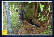 Cadena perpetua para Ryan Routh por el intento de asesinato de Donald Trump en Florida