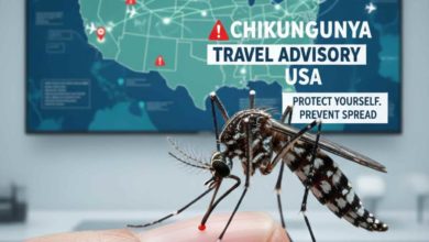La alerta de viaje que emitió el Centro para el Control y la Prevención de Enfermedades de Estados Unidos ante brote de chikungunya
