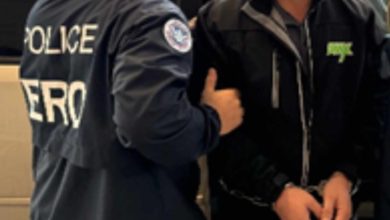 Miedo en Utah: Afirman que inmigrantes son detenidos por ICE en las cortes de Salt Lake City