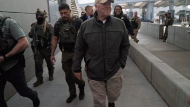 ICE se despliega en aeropuertos de Estados Unidos en medio de tensión política por cierre gubernamental (+VIDEO)