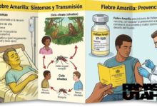 Venezuela declara alerta sanitaria y exige vacunas contra la fiebre amarilla para viajeros