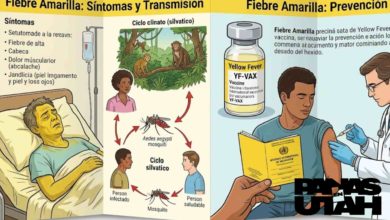 Venezuela declara alerta sanitaria y exige vacunas contra la fiebre amarilla para viajeros