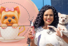 De abogada a empresaria en Arizona: Venezolana Danayzet Faure brinda servicio móvil canino con amor y conciencia