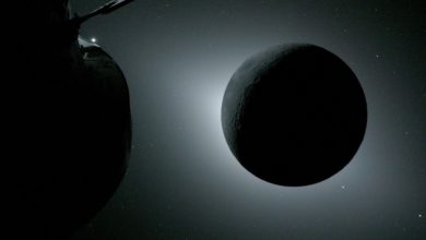 La tripulación de la misión Artemis II de la NASA envía a la Tierra fotografías oficiales del sobrevuelo lunar (+FOTOS)