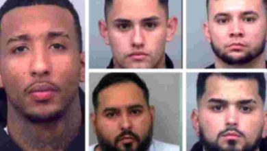 Desarticulan red de robo y venta ilegal de vehículos en Georgia con cinco venezolanos detenidos