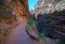 Fatal caída durante actividad de barranquismo reaviva alertas en el Parque Nacional Zion