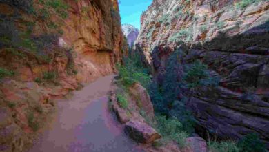 Fatal caída durante actividad de barranquismo reaviva alertas en el Parque Nacional Zion