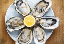 Alerta sanitaria en EE. UU.: Aumento de casos de rotavirus enciende vigilancia epidemiológica