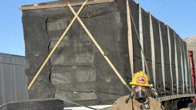 Bomberos en Utah rescatan 25 millones de abejas tras avería de un camión en plena ola de calor