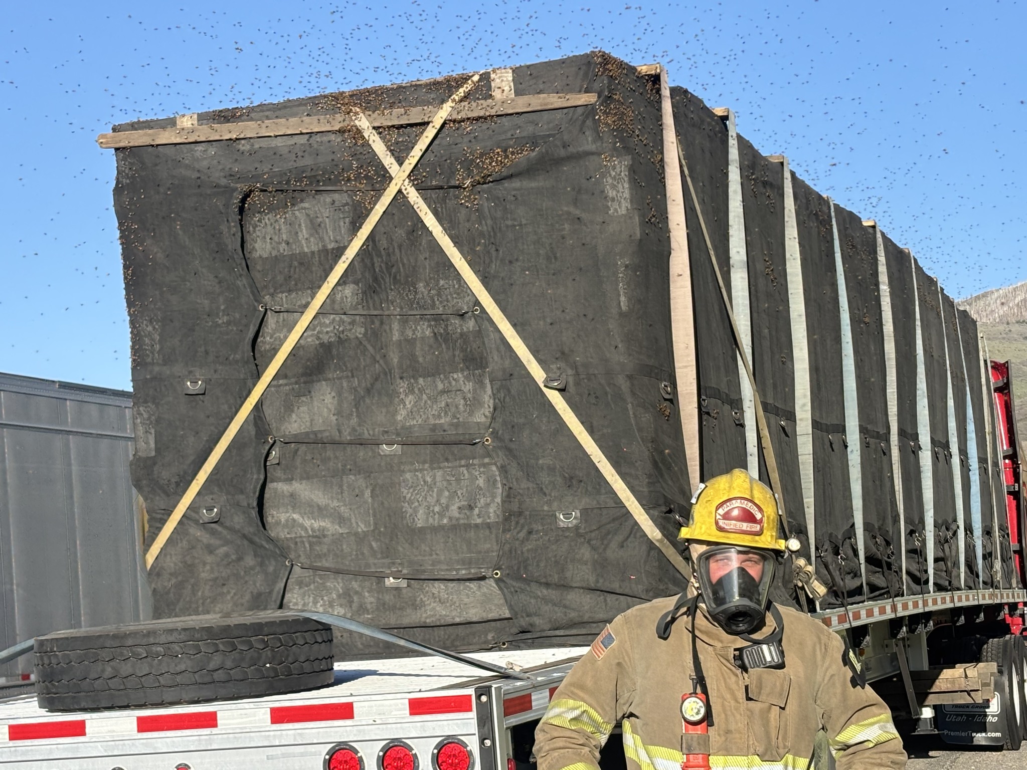 Bomberos en Utah rescatan 25 millones de abejas tras avería de un camión en plena ola de calor