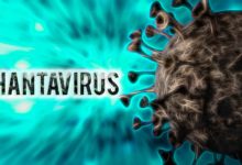¿Qué es lo que se sabe hasta ahora del hantavirus y cuáles son los casos confirmados?