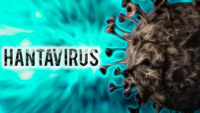 ¿Qué es lo que se sabe hasta ahora del hantavirus y cuáles son los casos confirmados?