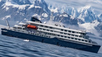 Alerta sanitaria en crucero polar: Investigan brote de hantavirus con tres fallecidos en Argentina
