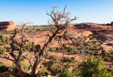 La sequía amenaza la pesca en Utah y obliga a modificar estrategias de conservación este año