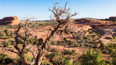 La sequía amenaza la pesca en Utah y obliga a modificar estrategias de conservación este año