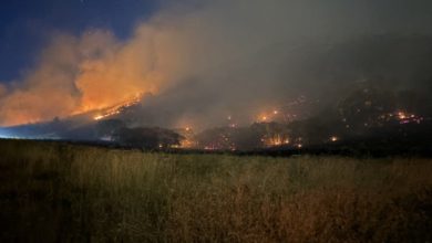 Incendio en Bonneville alcanza 495 acres mientras equipos refuerzan labores de contención cerca de Salt Lake City