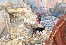 Expertos alertan sobre la falta de educación sísmica en Venezuela tras el devastador terremoto