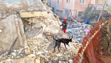 Expertos alertan sobre la falta de educación sísmica en Venezuela tras el devastador terremoto
