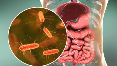 Explican qué es la ciclosporosis, el parásito que preocupa a EE.UU.