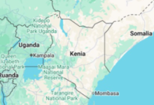 Seis hispanos mueren en un accidente de helicóptero en Kenia
