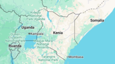 Seis hispanos mueren en un accidente de helicóptero en Kenia