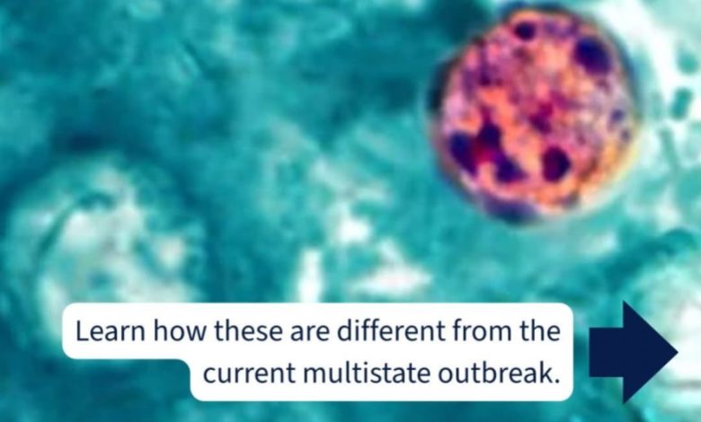 Utah registra 48 casos de ciclosporiasis, pero descarta vínculo con el brote nacional en Estados Unidos