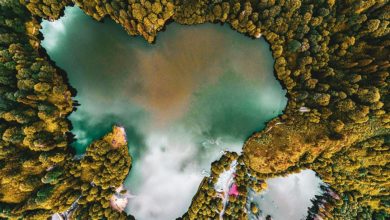 27 de agosto marca el primer Día Mundial de los Lagos, una fecha para reflexionar ante el aumento de su desaparición