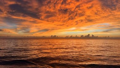 La Tierra registra el agosto más caluroso de su historia