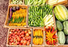 EE. UU. impulsa sus exportaciones agrícolas a Venezuela mientras productores locales alertan por la competencia