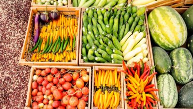 EE. UU. impulsa sus exportaciones agrícolas a Venezuela mientras productores locales alertan por la competencia