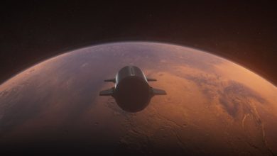 Trump celebra la promesa de Elon Musk de regalar acciones de SpaceX a millones de niños en EE. UU.
